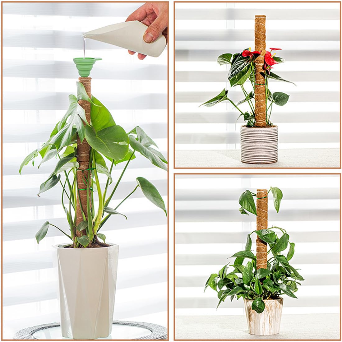 Lythor Moss Pole Set of 4 Extra-Long 63 inch Coir Pole Moss Stick, 4Pcs 15.8 inch for Indoor Monstera Plant Support and Train Creepers and Climbing Plants Grow Upwards