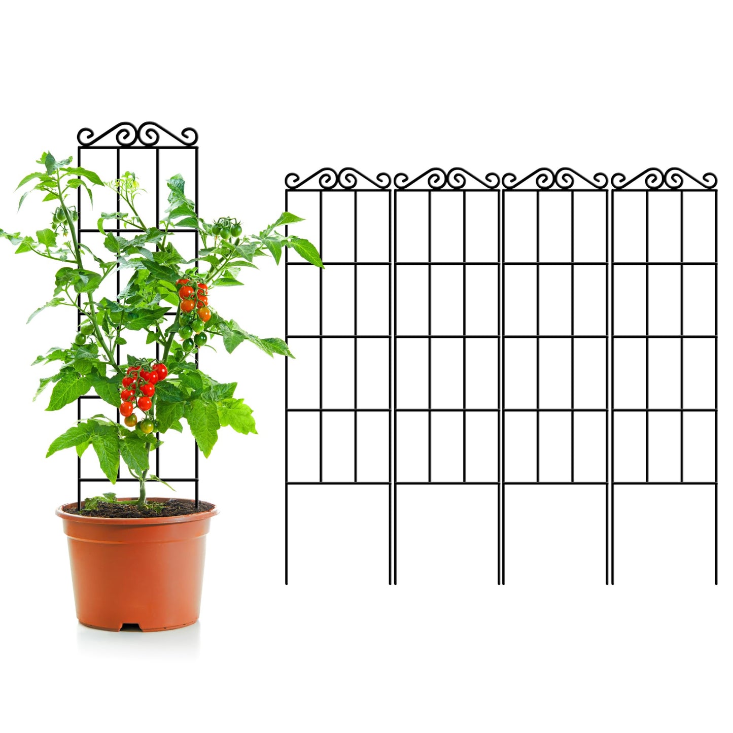 ARIFARO 47'' Metal Garden Trellis for Climbing Plants,(Pack of 4) Indoor/Outdoor Sturdy Plant Trellis for Potted Plants,House Plants, Climbing Vines, Black