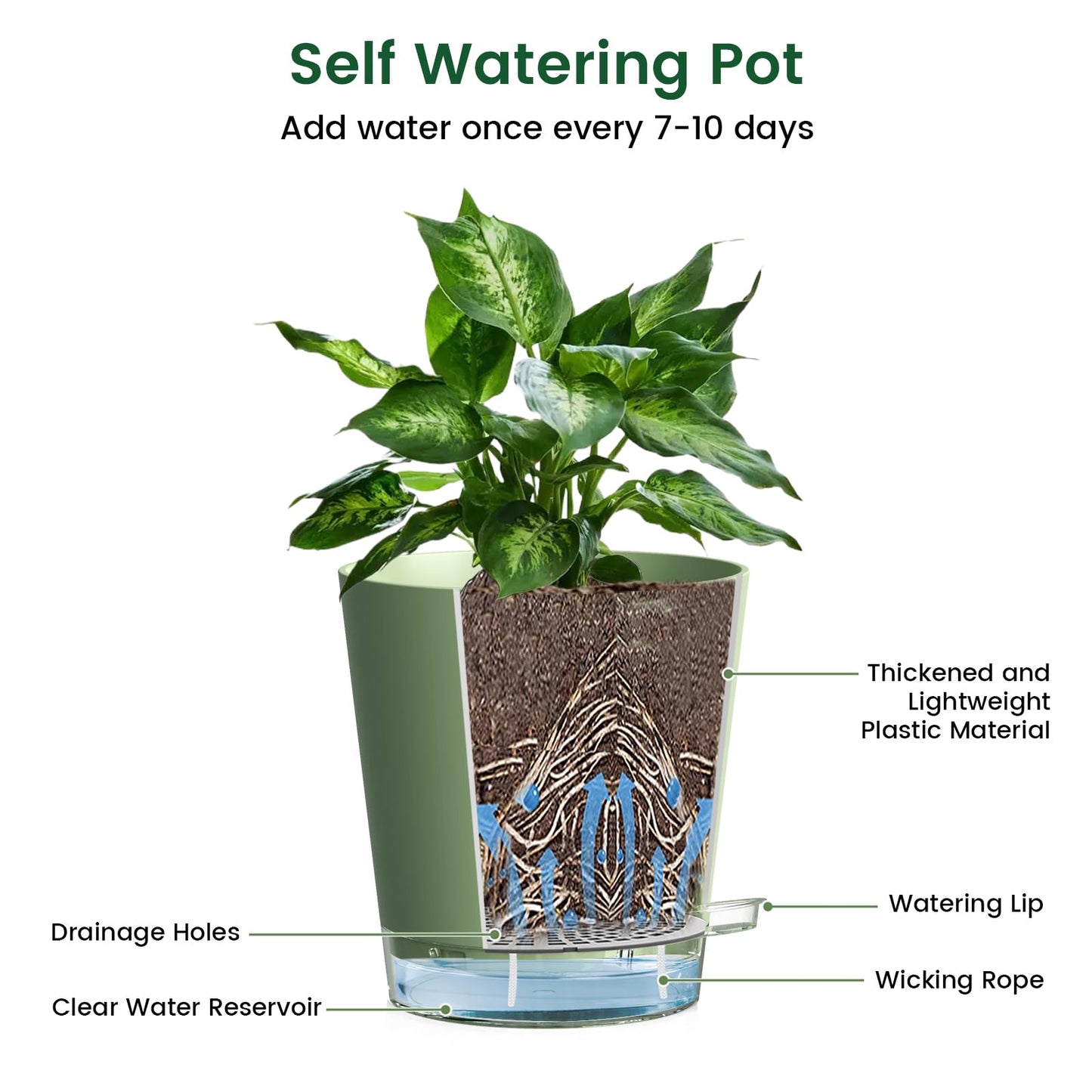 Meowell 4 inch Self Watering Pots for Indoor Plants, 5 Pack Small Flower Plant Pots with Drainage Holes and Clear Reservoirs, Visible Water Level, Plastic Planters with Wicking Rope, Green