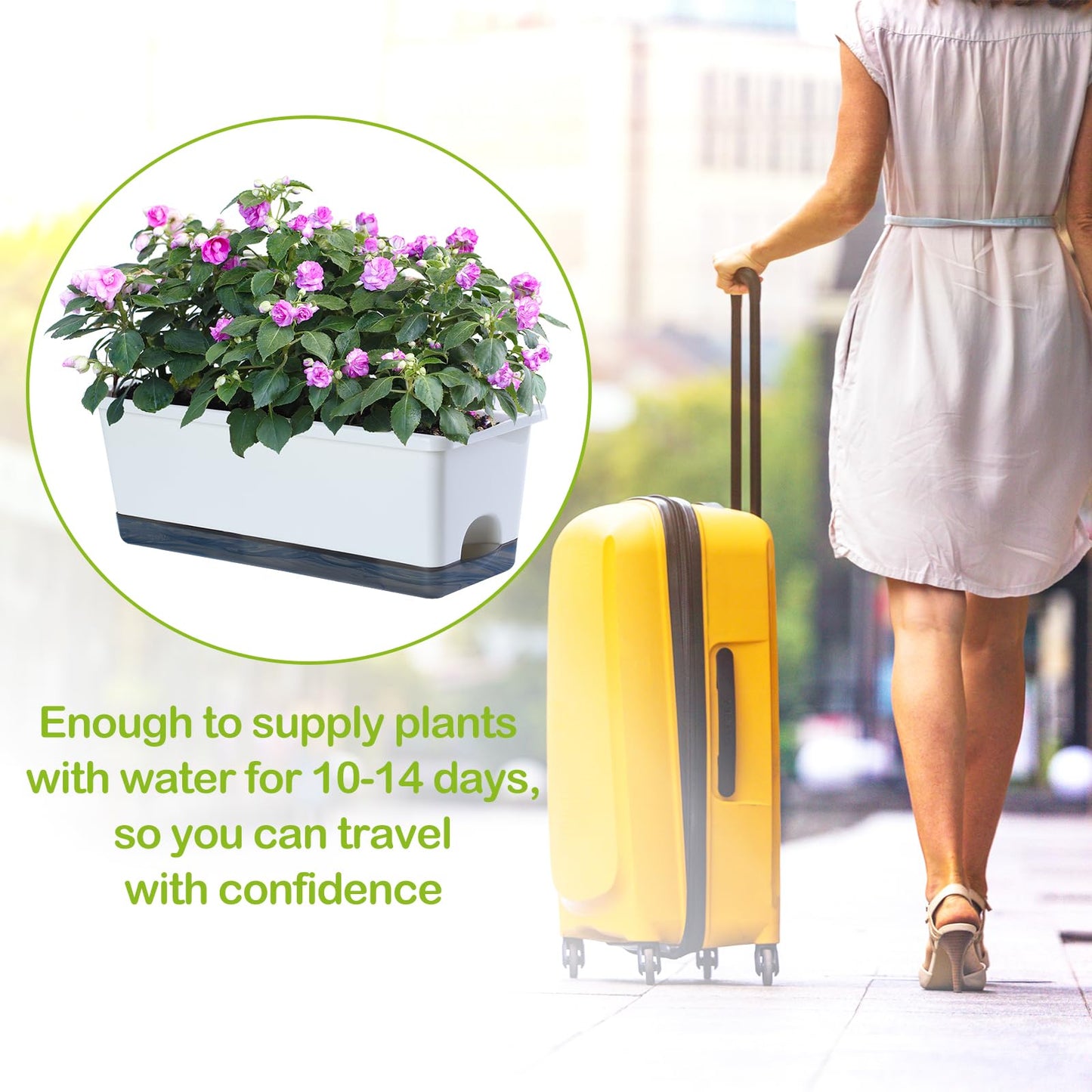 Oliz Window Box Planter 8 Pcs, 17 Inches Rectangle Flower Pots with Drainage Holes & Trays, Vegetable Planters for Windowsill Patio Garden Balcony Home Indoor Outdoor (White, 16 * 7 * 6 inch)