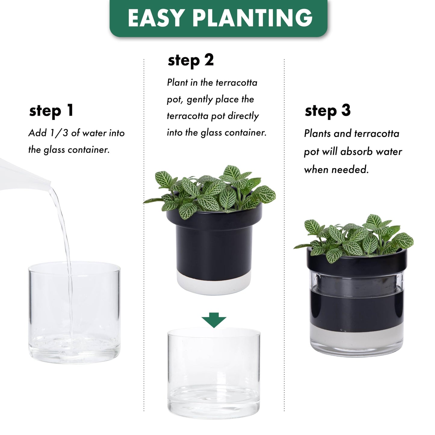 Phoenix Vine 4 Inch Self Watering Planter Pot, Black Terracotta Clay Pot with Glass Reservoir for Indoor Plants, Herbs, Flowers, Set of 4, 52-C-E-4