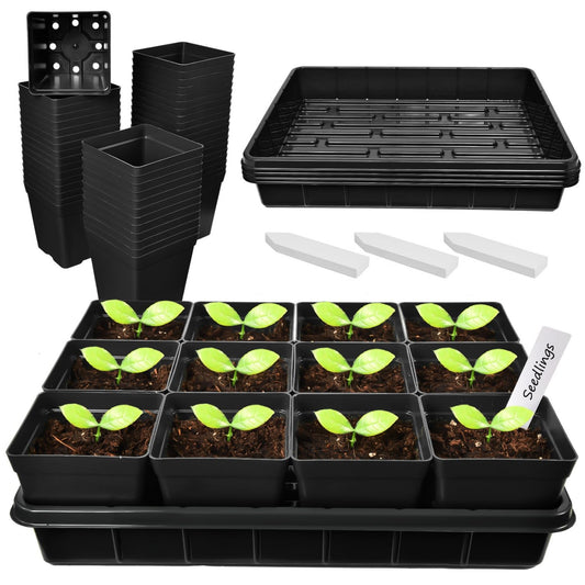 June Fox 60 Pcs Square Nursery Pots for Plants, 5 Pcs Seed Starter Tray Kit, 3.3 Inch Small Seedling Pots with Drain Holes, 60 Plant Labels (Black)