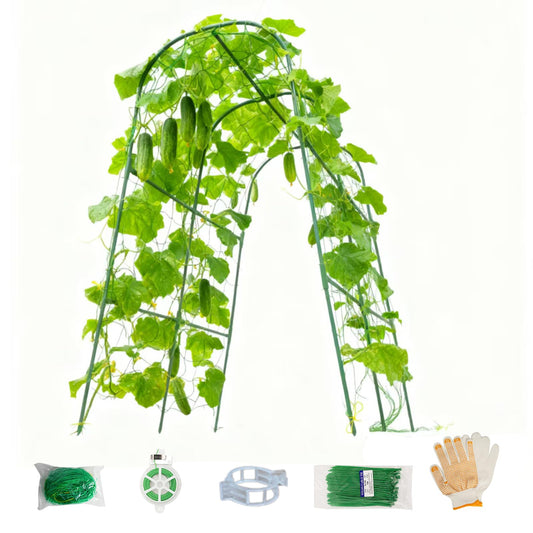 Cucumber Trellis for Raised Beds - Sturdy Arch Trellis for Peas, Beans & Climbing Plants | Outdoor Vegetable Support, Garden Trellis Kit (31" Lx30 Wx48 H)
