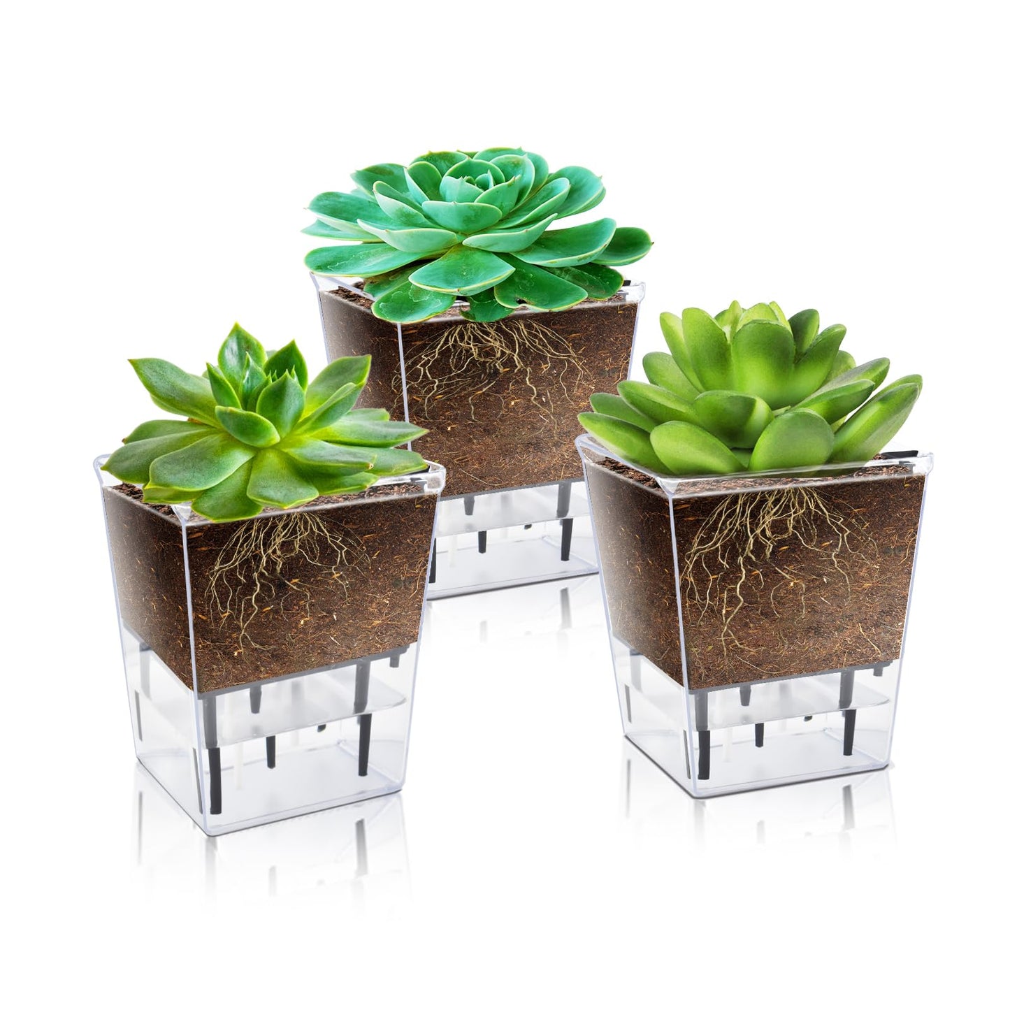 IWNTWY Self Watering Pots Set, 3 Pack 2.7 Inch Pots for Indoor Plants, Clear Nursery Planter with Deep Reservoir for Succulents, Seedlings, Small Plants