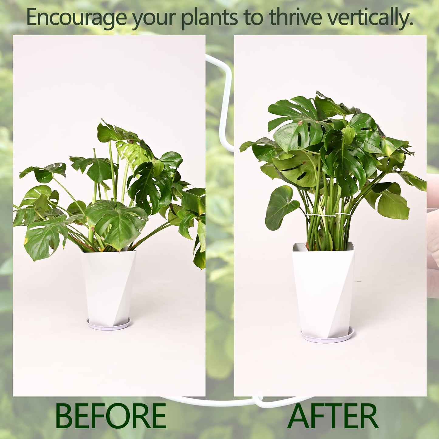 YOHSNOR 5PCS Monstera Plant Stem Support White 9 * 7.6in - Durable Stake Holder for Indoor Climbing Plants, Adjustable Installation Ideal for Fishbone Cactus and Plant Enthusiasts
