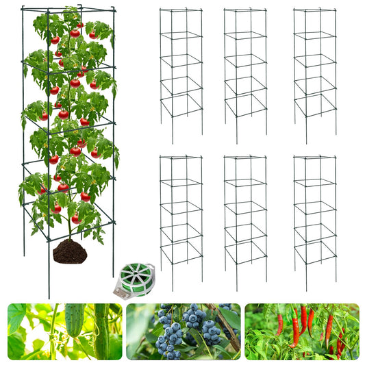 LAKNUAL 6 Packs Tomato Cages for Garden, 12"×12"×48" Plant Support Cage with Different Spacing, Green Metal Trellis for Climbing Plants Like Cucumber, Flowers