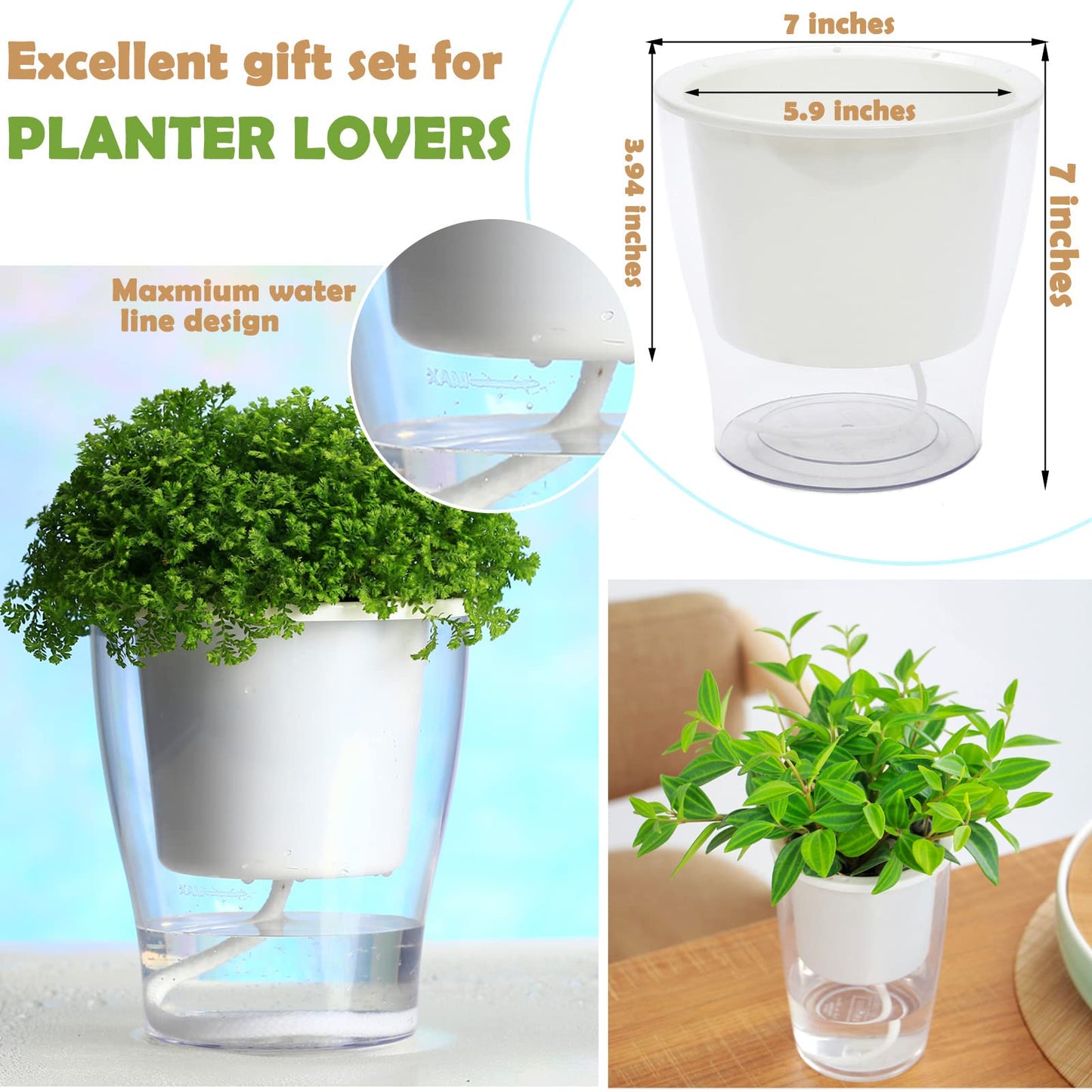 DEELF OUTLET 8-Pack 5.1 Inches Clear Self-Watering Planters Medium African Violet Pots Plastic Wick Flower Plant Pots for Indoor Plants, Spider Plant, Orchid Pot, Clear and White