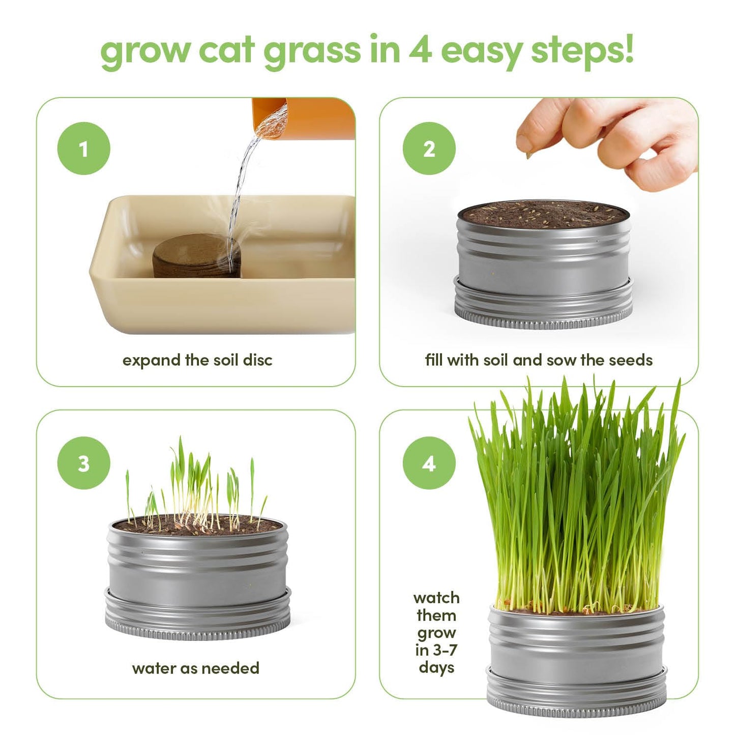 Cat Grass for Indoor Cats Kit - 3 Complete Growing Organic Planter Kits - Grow Your Own Cat Grass - Organic Plant Seeds - Pet Health Supplies Stuff - Gift for Pet Lover