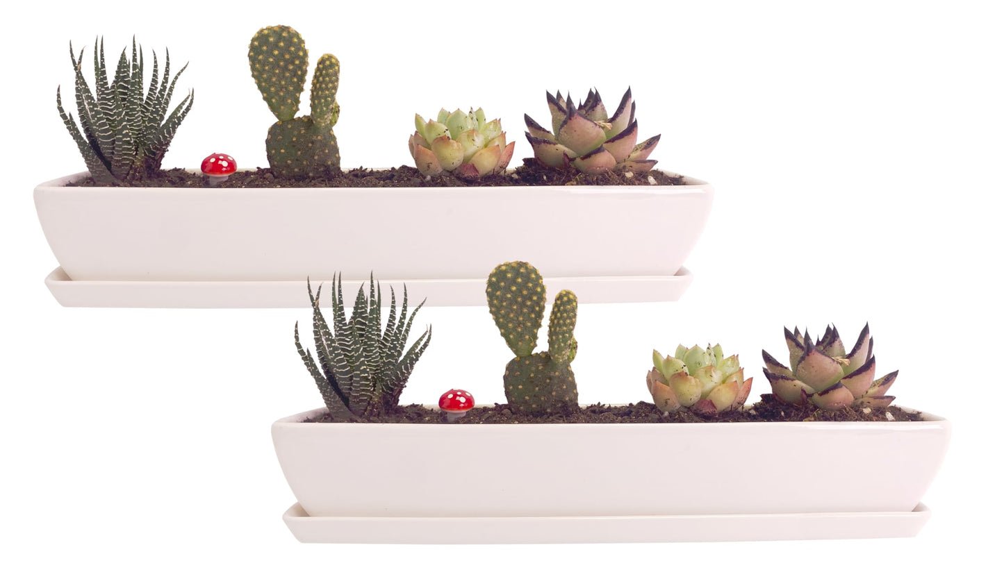 Kipokalor Long Rectangular Modern Succulent Planter Pot, 2 Set of 11.1x2.36x1.77inch Minimalist White Ceramic Succulent Planter Pot with Ceramic Saucer for Office,Desk,Window.