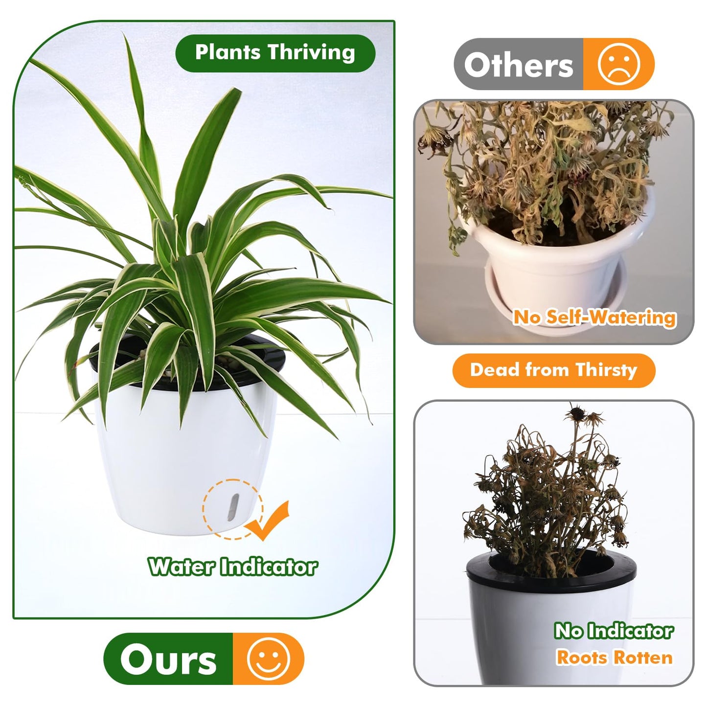Planterhoma 5 Inch Self Watering Pots for Indoor Plants, 6 Packs African Violet Pots with Indicator, Black Wick Pot with Drainage Holes, Self Watering Planters for Orchid, Devil's Ivy, White