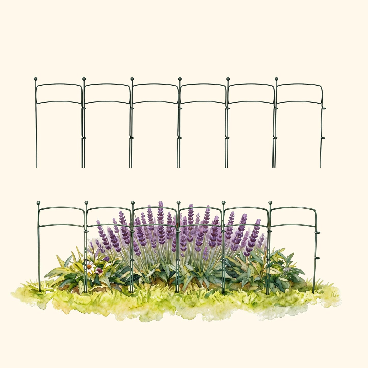 6 Pack Curved Plant Support Stakes, Dual Half Round Metal Garden Plant Stake, Peony Cages and Supports, 10"(W) x 20" (H) Flower Support Ring for Peonies, Hydrangea