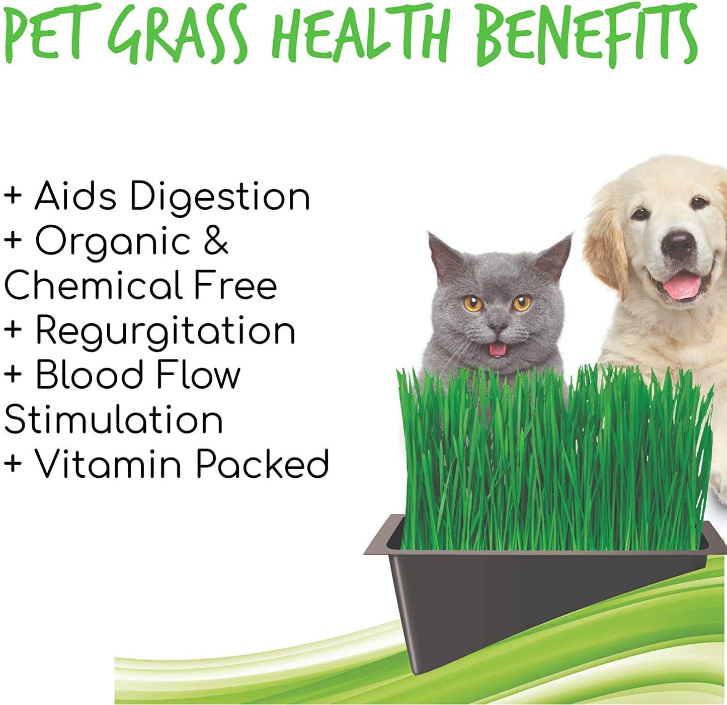 Handy Pantry Organic Cat Grass Kit - Includes 1 Tray, 1 Soil Puck, and Non GMO Wheatgrass Seed - A Healthy Treat for Cats, Dogs, Rabbits, and More