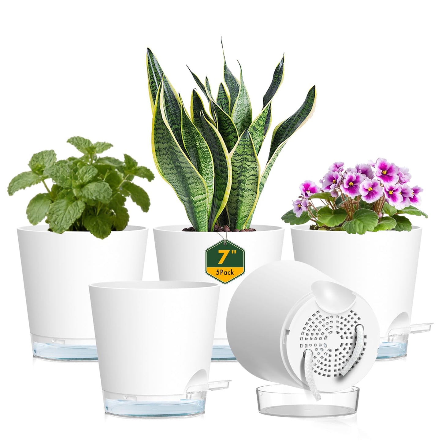 Meowell 7 inch Self Watering Pots for Indoor Plants, 5 Pack Plant Pots with Drainage Holes & Clear Reservoir for Visible Water Level, Plastic Wicking Planter Pots for House Plants and Flower, White