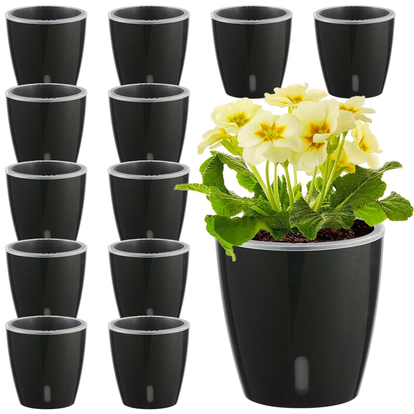 KvyusFlourish Self Watering Pots for Indoor Plants, 12-Pack 5'' Self Watering Planter with Drainage Holes, Small African Violet Pots with Water Level Indicator, Clear Wick Pot, Black