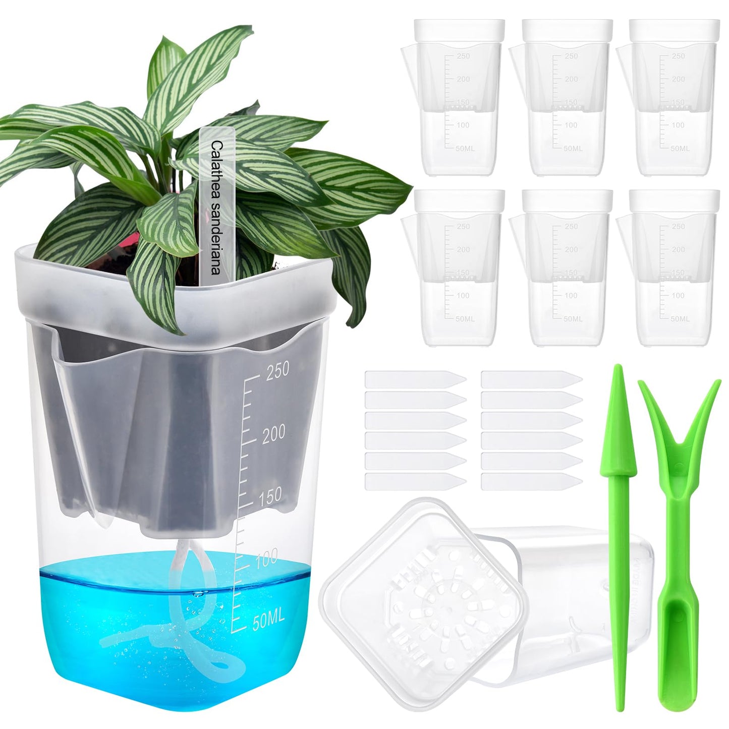 6PCS Mini Self Watering Pots for Indoor Plants, 2.5" Small Clear Planter with Wicks & Water Level Indicator, Plastic Automatic-Watering Pot for African Violet, Succulent, Alocasia, Hoya, Plant Label