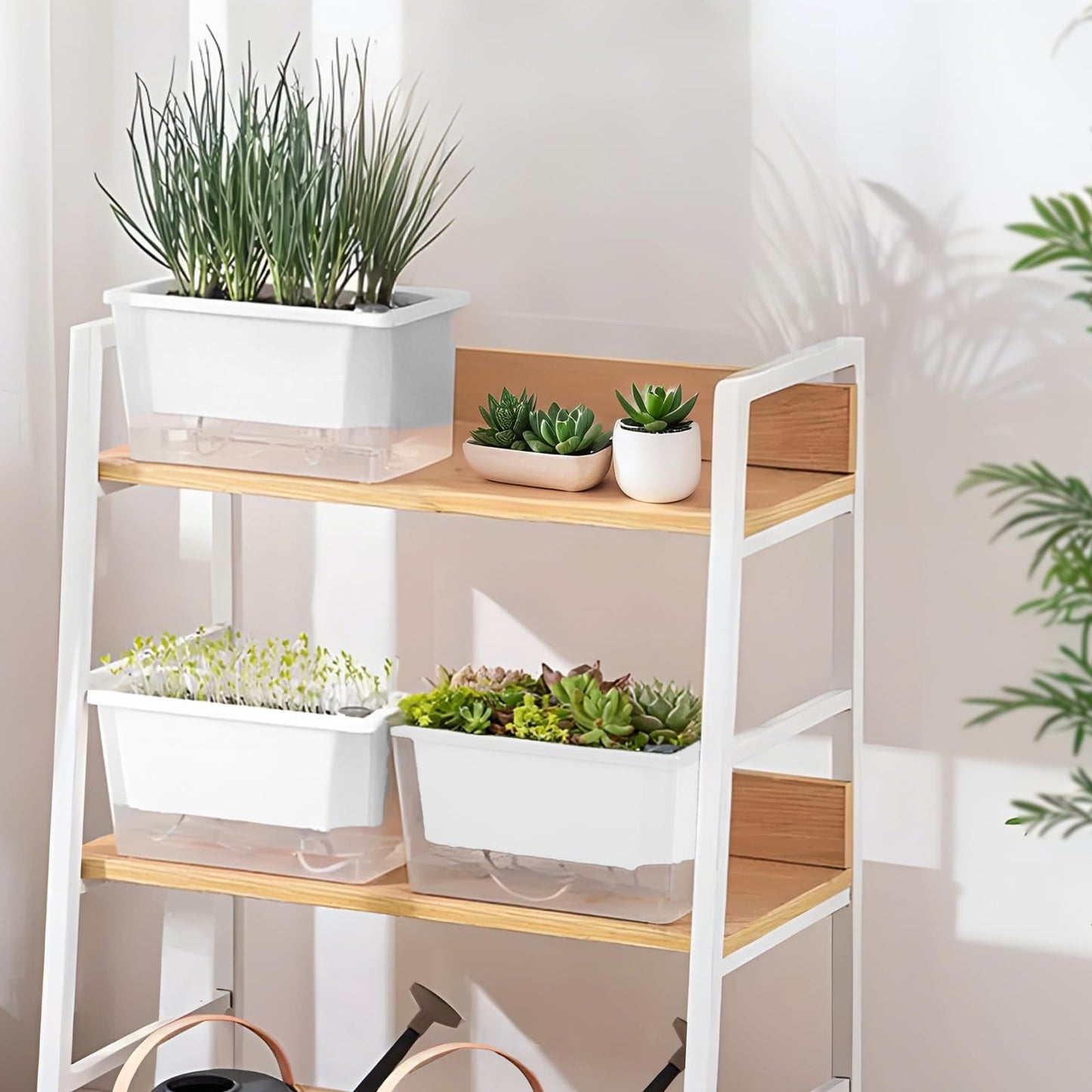 Samhe Window Box Planter, 2 Pack 10 Inch Plastic Self Watering Pots for Indoor Plants, Rectangular Flower Pots with Reservoir for Outdoor Indoor Plants Garden Home Decor - White