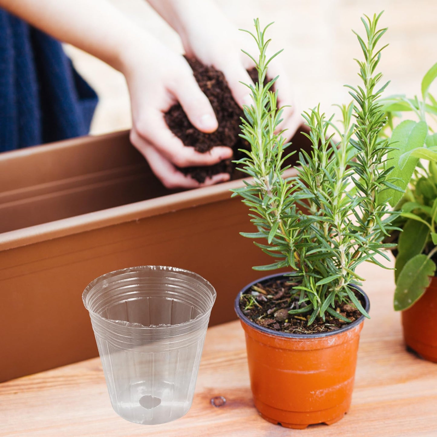SEWCHICS 50pcs Nursery Plant Pots with Drainage Holes, 2.5 Inch Plastic Plant Starter Pots for Orchids, Succulents, Seedlings, Indoor and Outdoor Gardening