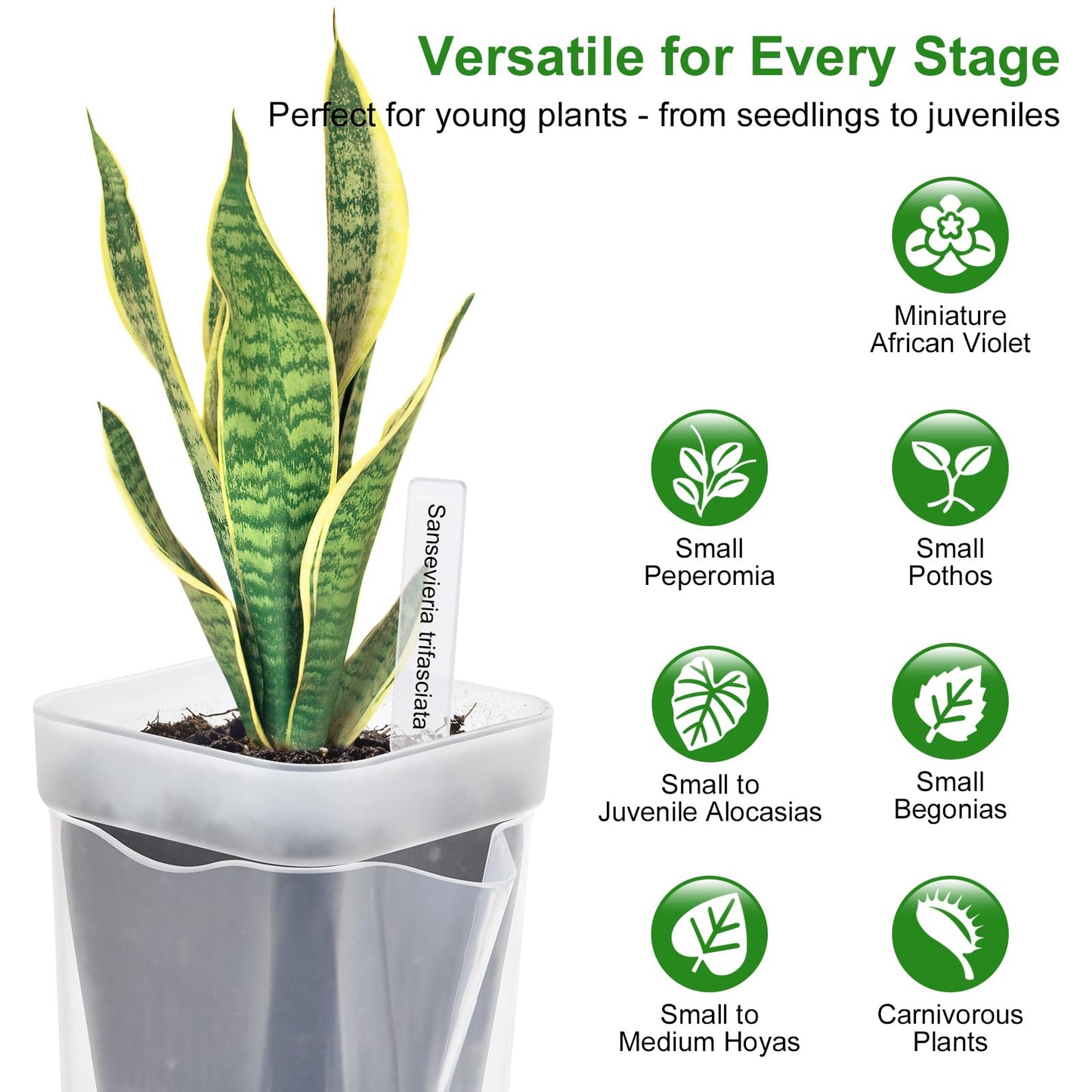 6PCS Mini Self Watering Pots for Indoor Plants - 2" Small Clear Planter with Wicks & Water Level Indicator, Plastic Automatic-Watering Pot for African Violet, Succulent, Alocasia, Hoya, Plant Label