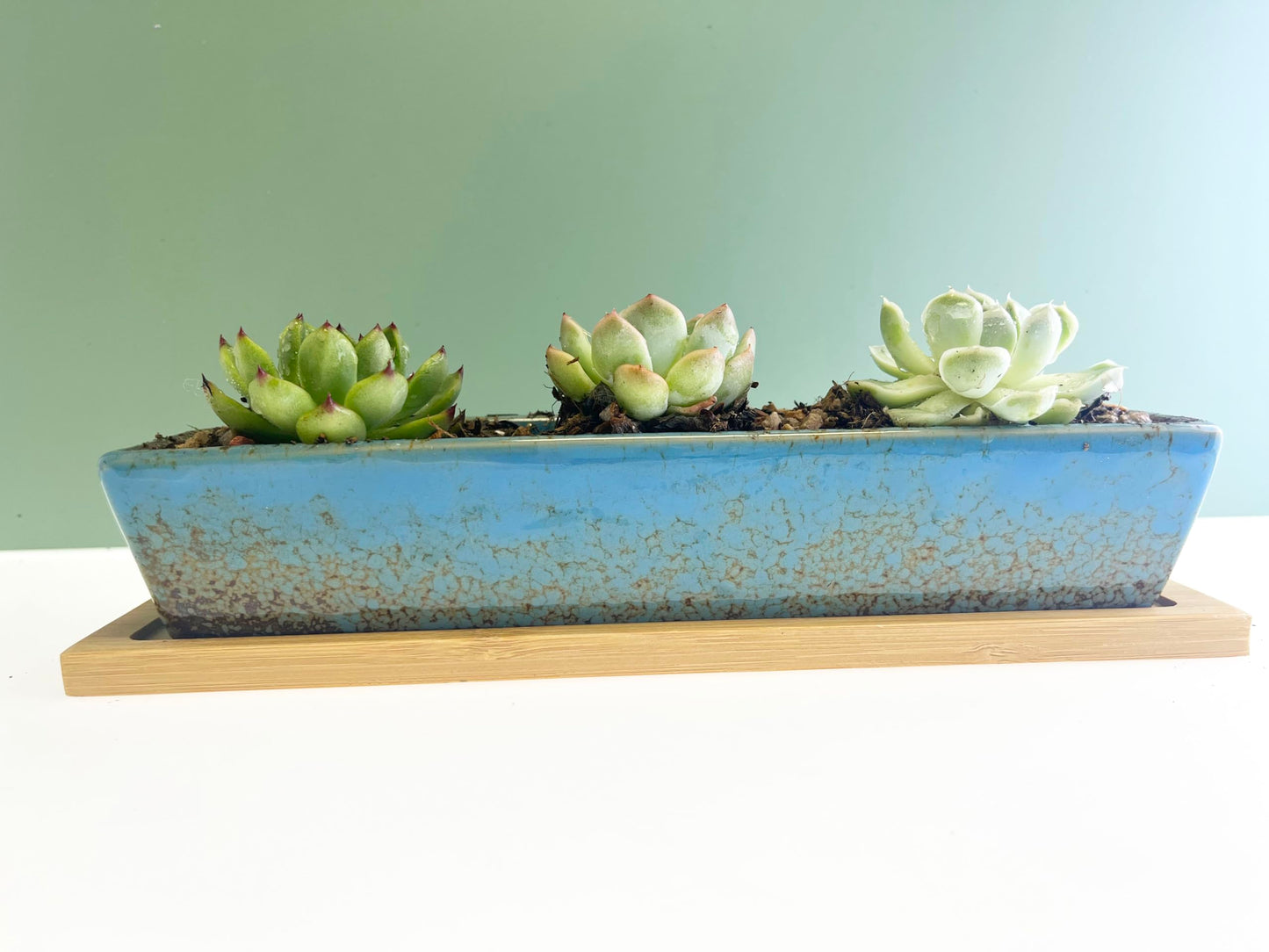 9.8 inch blue long rectangle Ceramic Succulent Planter Pot,one set of Mini Flower Plant Container with Bamboo Saucers. not include the plant.