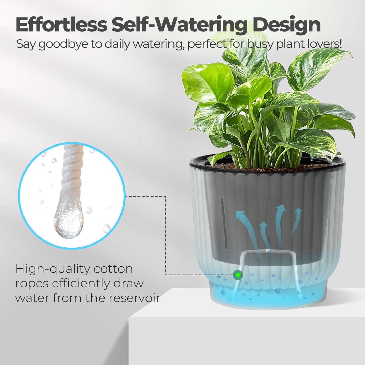 T4U 4 Inch Plant Pots Self Watering, 6 Pack African Violet Pots, Small Plant Pots for Plants, Small Indoor Plant Pot, Self Watering Planter for African Violet, Succulents (6 Pack, 4", White)