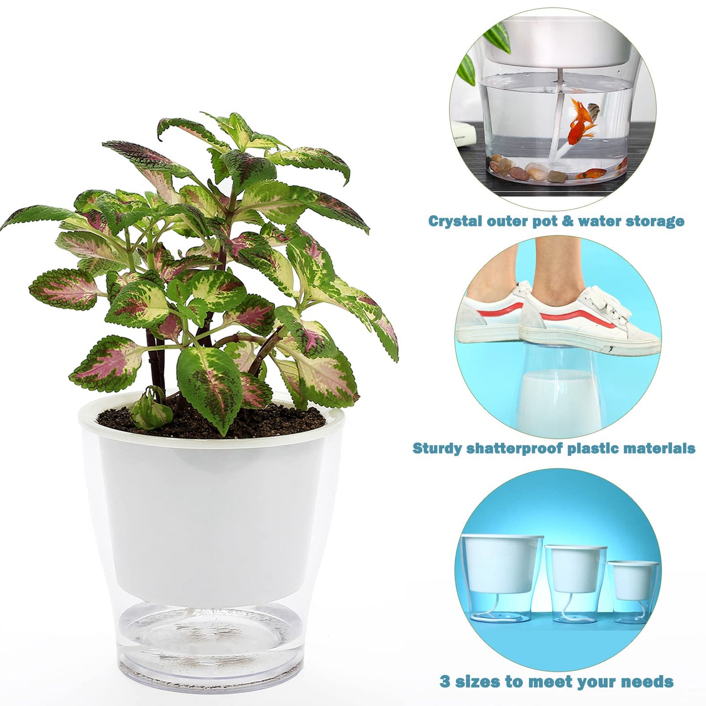 DEELF OUTLET 8-Pack 5.1 Inches Clear Self-Watering Planters Medium African Violet Pots Plastic Wick Flower Plant Pots for Indoor Plants, Spider Plant, Orchid Pot, Clear and White