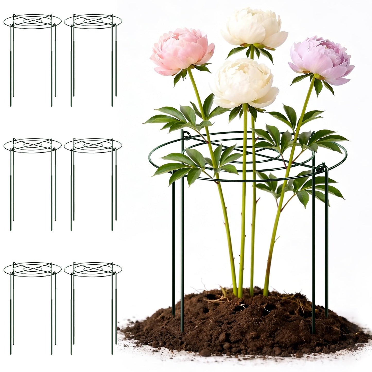 Geelin 6 Pcs Adjustable Peony Cages and Supports, 24 x 12 Inch / 9 x 12 Inch Metal Peony Support Cage, Large Plant Frame Rings for Garden Outdoor Plants Flowers Tomato Vegetables, Height Adjustable