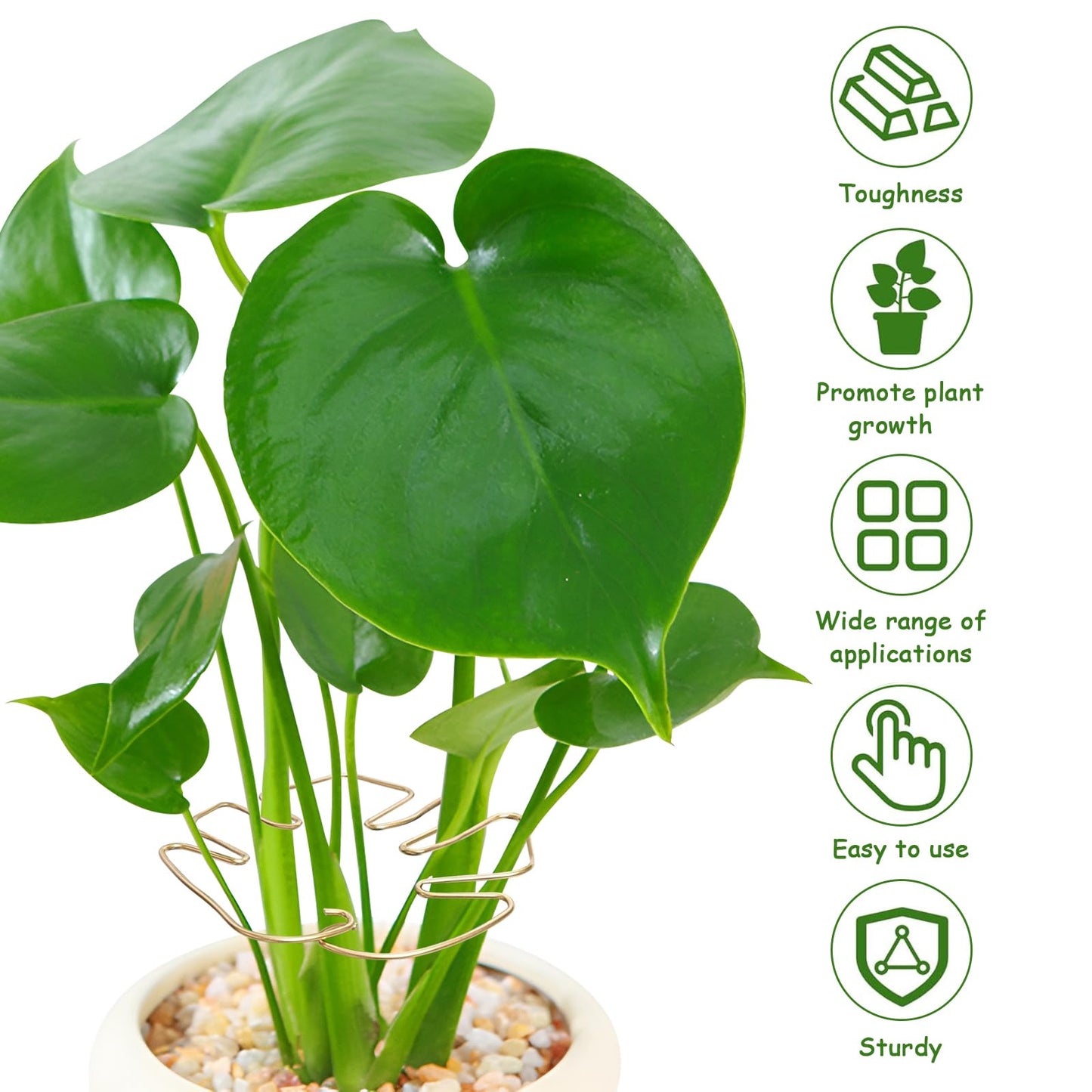 5PCS Iron Monstera Plant Support, Plant Stem Support, Turtle Shell Bamboo Clamp Set, Stable Plant Support Stakes for Indoor Plant, Ideal Present for Plant Lovers