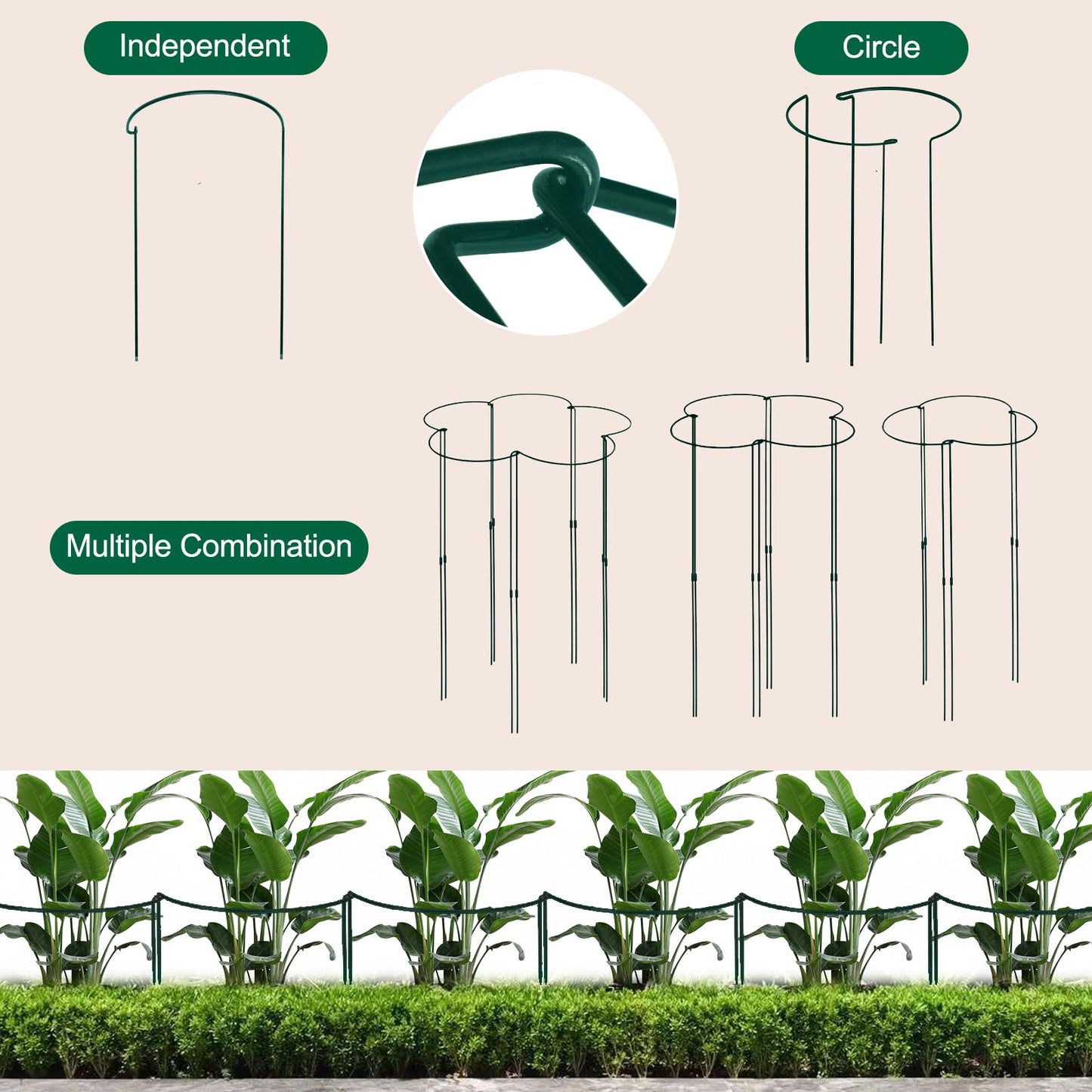 Tall Heavy-Duty 30in Plant Support Stakes - 8 Pack Adjustable Peony Cages & Supports for Outdoor Plants, Half-Round Garden Stakes for Hydrangea, Roses with Extension Stakes