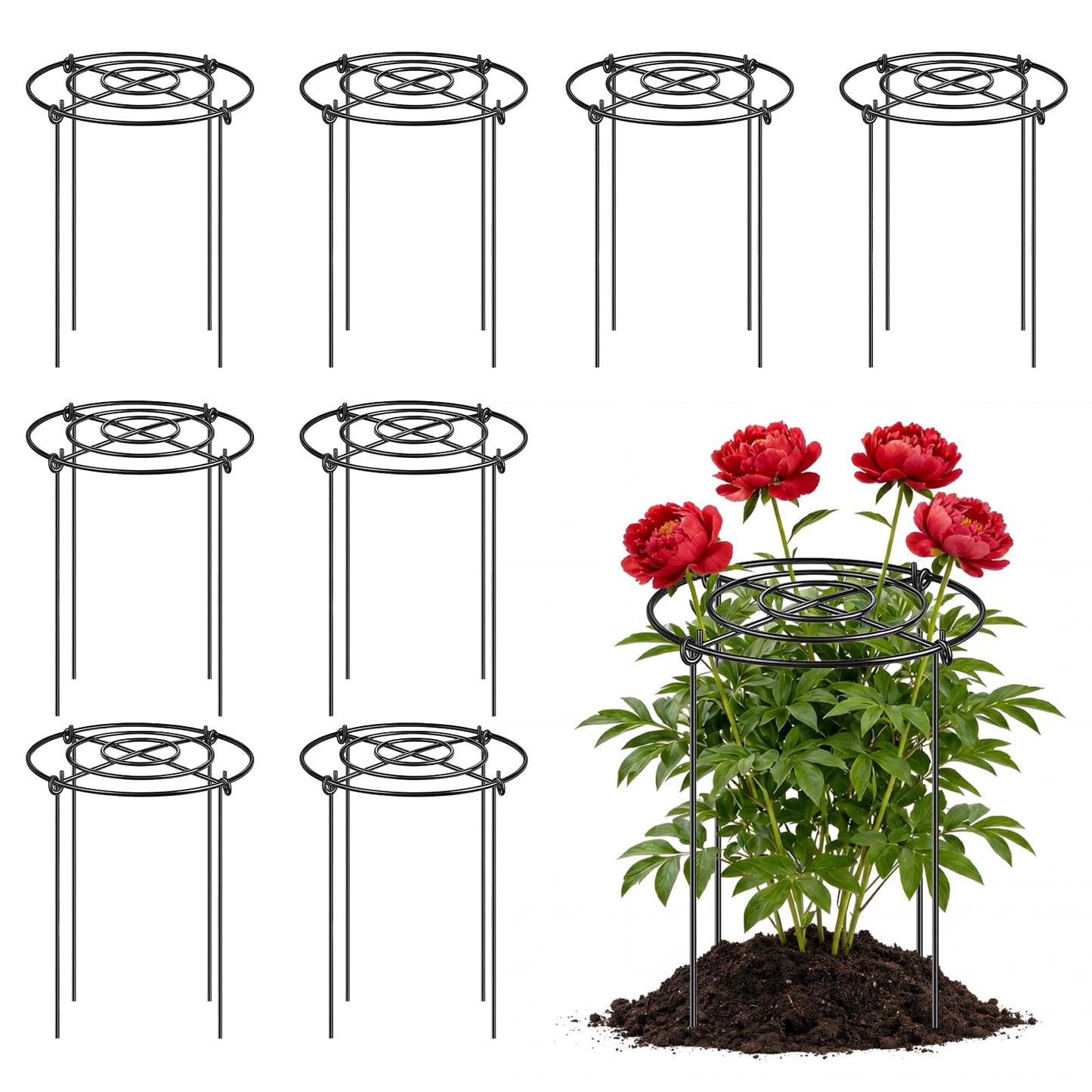 YHLYUZZ Peony Cages and Supports 8 Pack, 12x16 Inch Heavy Duty Metal Plant Cage for Outdoor Plants – Grow Through Flower Support Rings for Peonies, Roses, Tomatoes & Hydrangeas