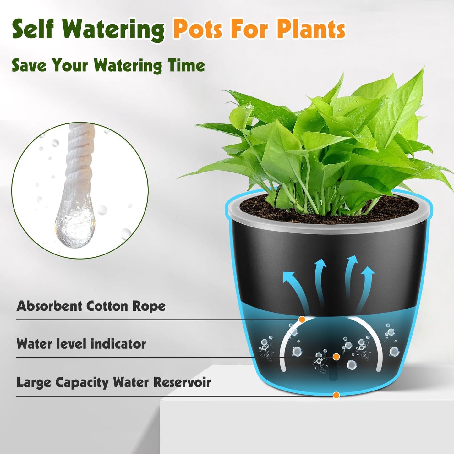 KvyusFlourish Self Watering Pots for Indoor Plants, 12-Pack 5'' Self Watering Planter with Drainage Holes, Small African Violet Pots with Water Level Indicator, Clear Wick Pot, Black