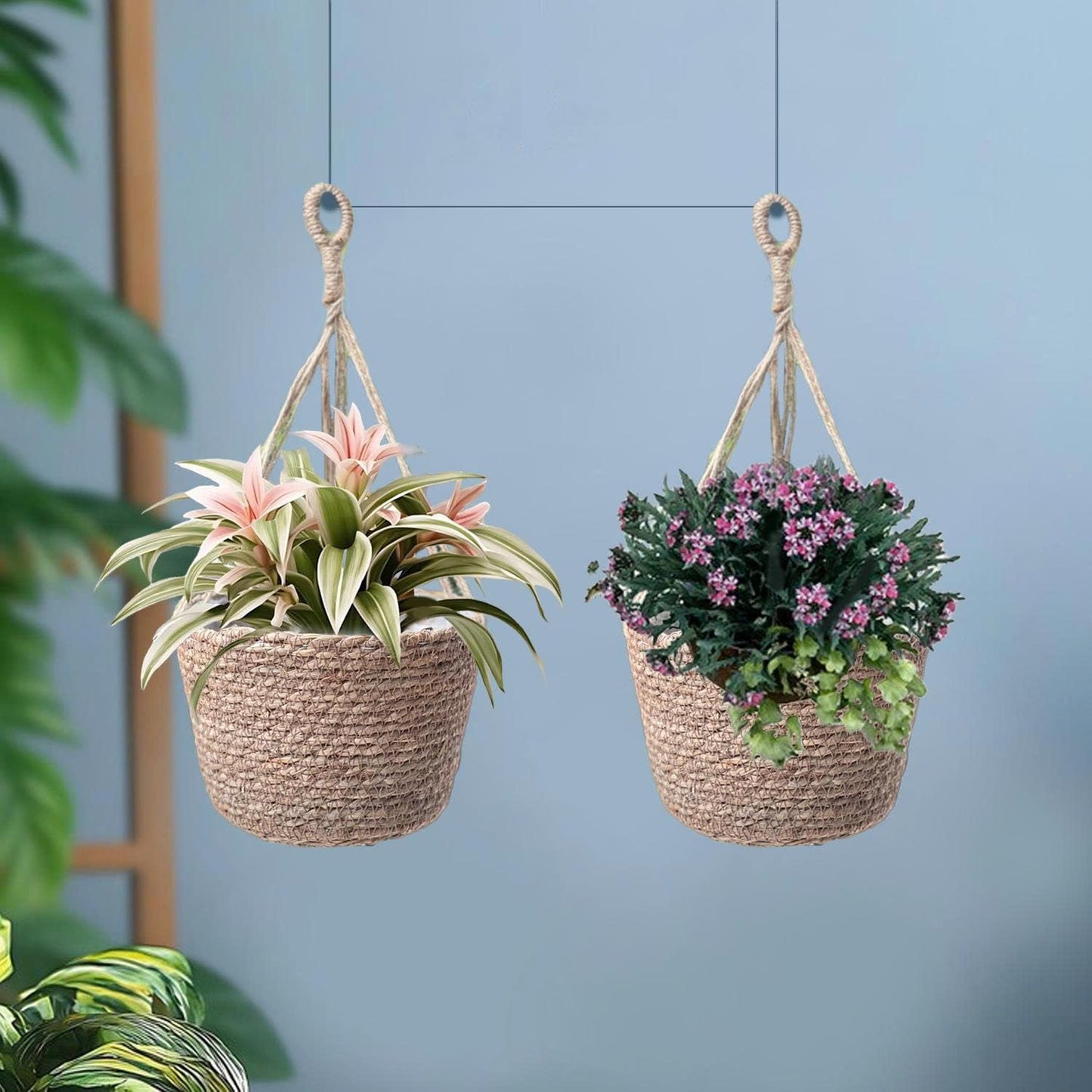 Laquedecraft Woven Seagrass Plant Basket with Hangers | Decorative Planter for Small-Space Living or Natural Home Styling | Perfect for Living Room, Balcony, Patio, Kitchen or Gadren (Set of 2)