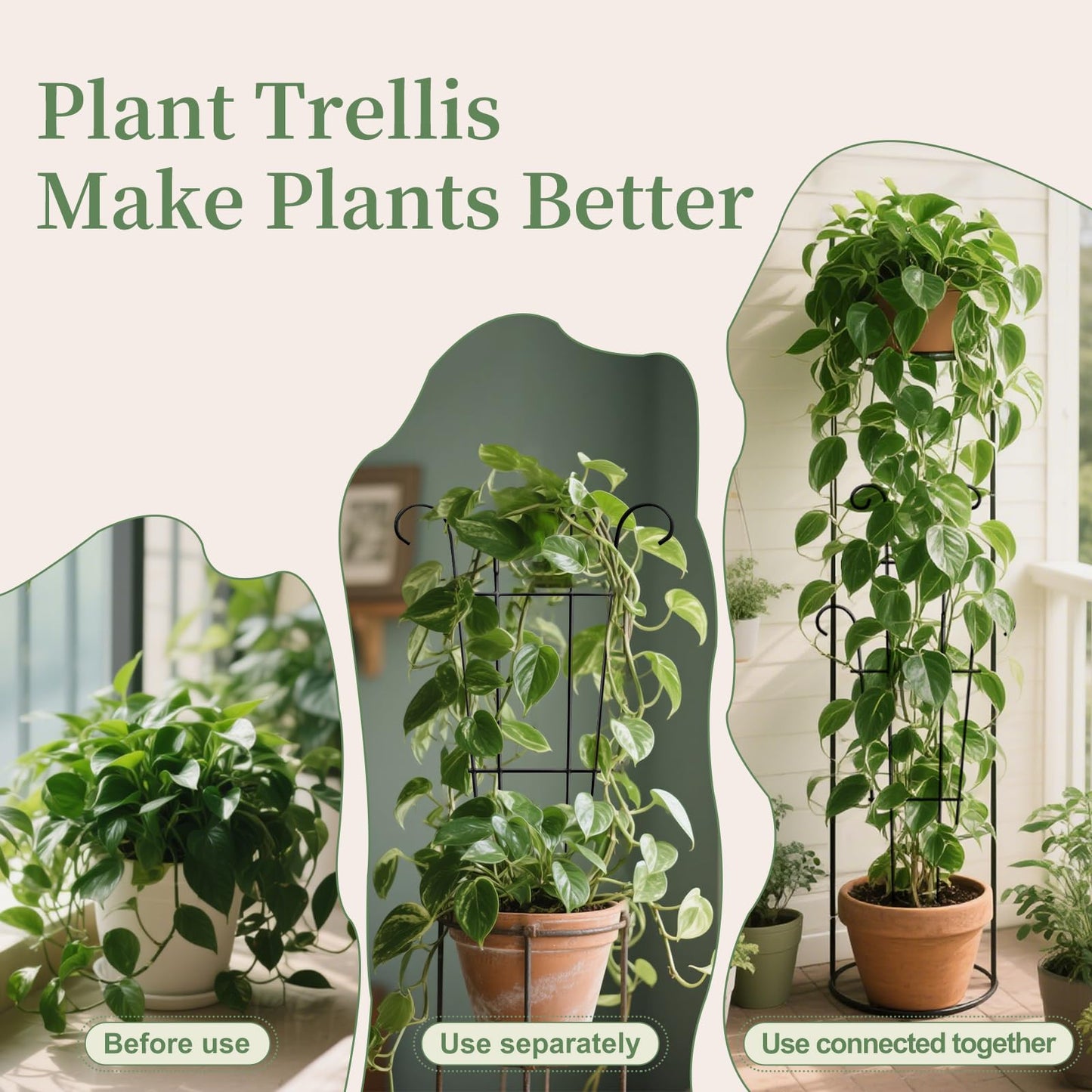 4-Pack 23.6 Inch Tall Metal Plant Trellis for Climbing Plants Indoor - Garden Trellis for Potted Houseplants, Plant Support for Ivy, Pothos, Monstera, Hoya, Flower Vines (Black, 23.6inch/4 Pack)