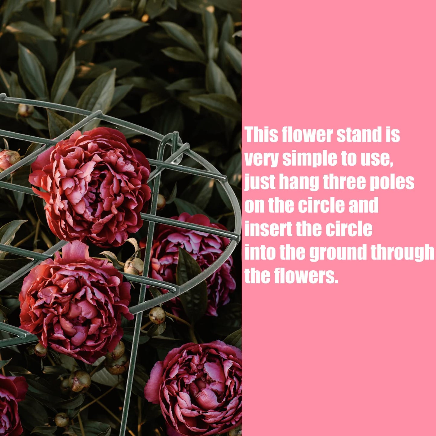 2 Pcs Flower Support Rings, Peony Cage Plant Support Stake,Grow Through Grid Plant Brace, Hoops with 3 Pcs Legs for Heavy Blossoms (2 pcs 24")