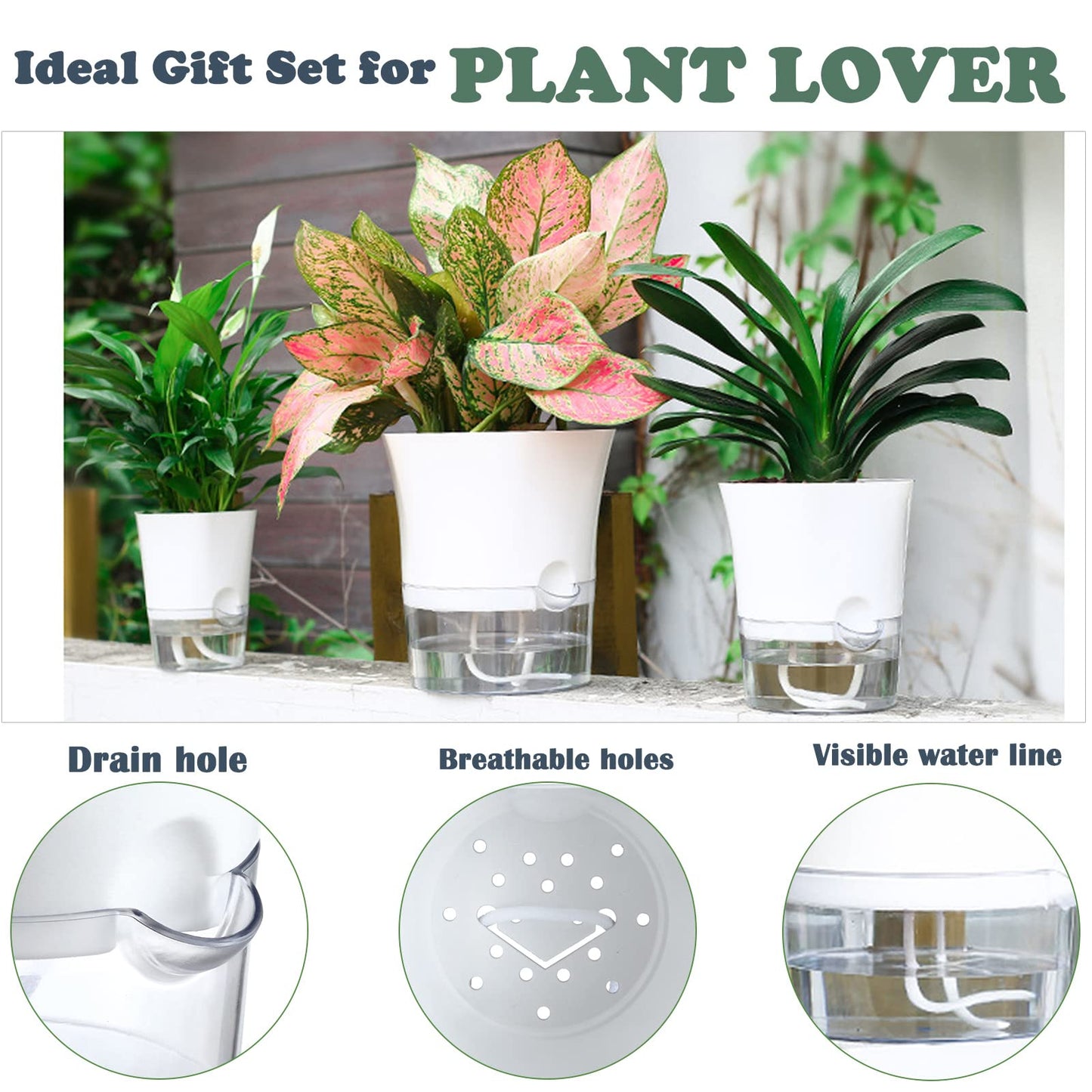 10-Pack 6" Clear Self Watering Pots for Indoor Plants Large Hexagon Self-Watering Planters Orchid Pots Plastic Wick Flower Plant Pots for African Violet, Spider, Herbs, Home Decor, White and Clear