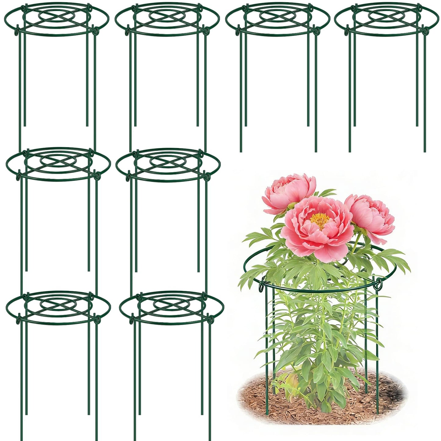 DAYUMKOU 8 Pack Peony Cages and Supports, 11.5" D x 12" H Plant Supports for Outdoor Plants, Heavy Duty Metal Peony Support Cage Flower Support Rings for Rose Hydrangea Strawberry