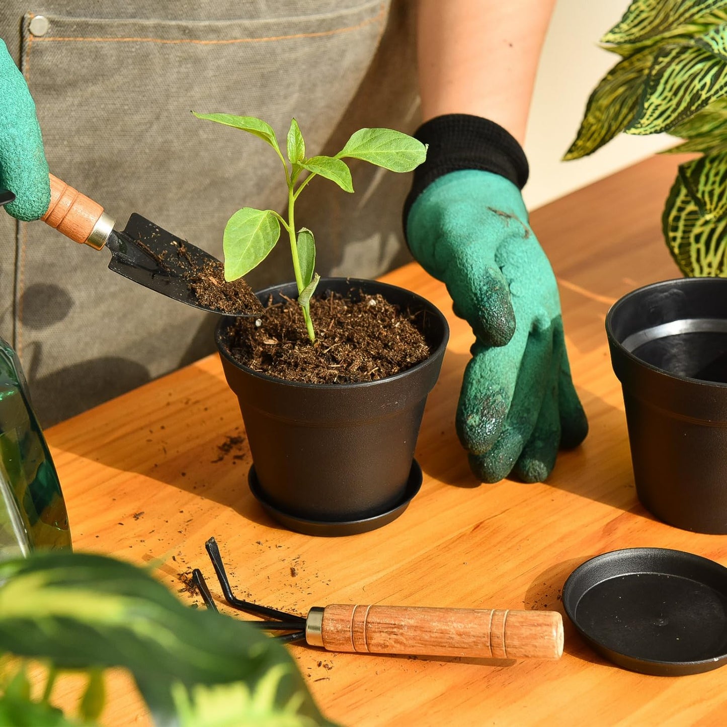 June Fox 60 Pack Small Plant Pots Indoor 4 Inch Plastic Planter with Drainage Holes and Saucers Premium Black Pots for Plants Bulk for Succulent, African Violets, Flowers, Seed Starting