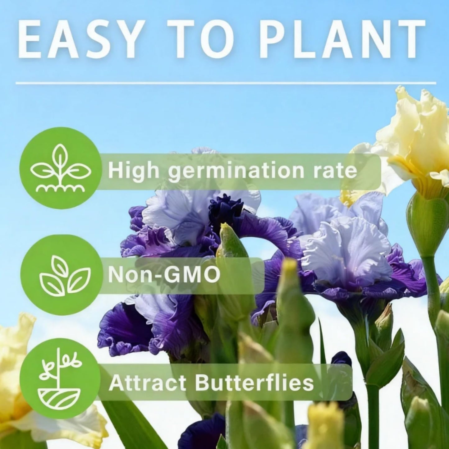 mkiytfdn Elephant Ear,Giant Tropical Foliage for Year After Year Garden Growth-10BULBS-B
