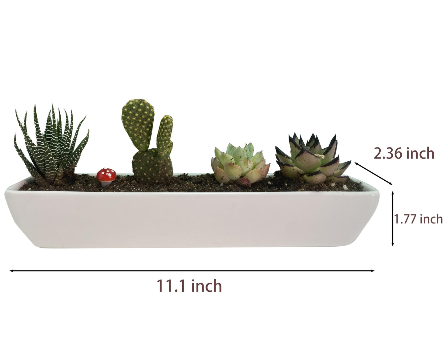 SWONVI 11.1 inch Long Rectangle White Ceramic Succulent Planter Pots with Ceramic Saucers/Mini Flower Plant Containers wPlant Window Boxes for Office/Home, (2 pcs Rectangle Pot)