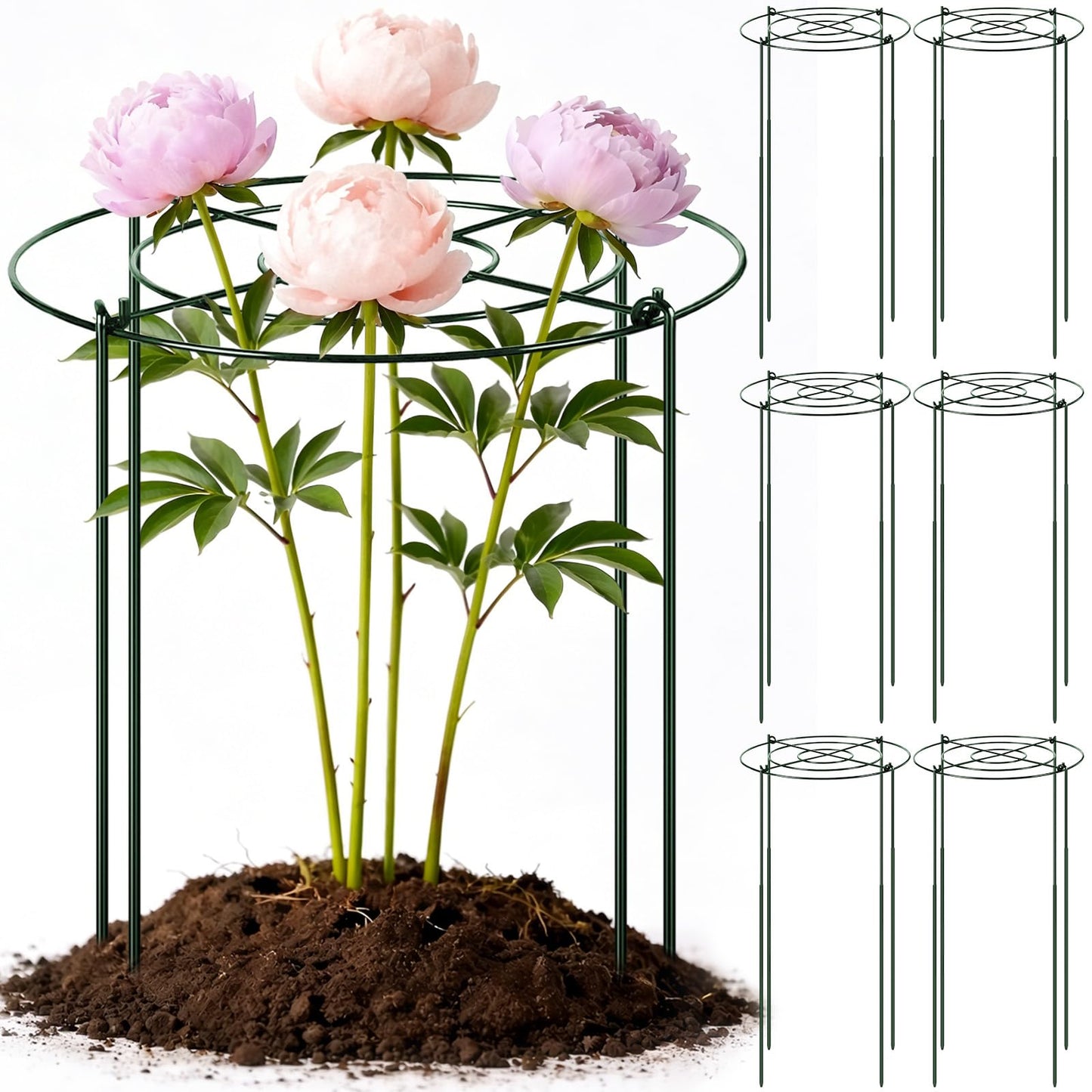 Geelin 6 Pcs Large Adjustable Peony Cages and Supports, 32 x 12 Inch / 17 x 12 Inch Metal Peony Support Cage, Large Plant Frame Rings for Garden Plants Flowers Tomato Vegetables, Height Adjustable