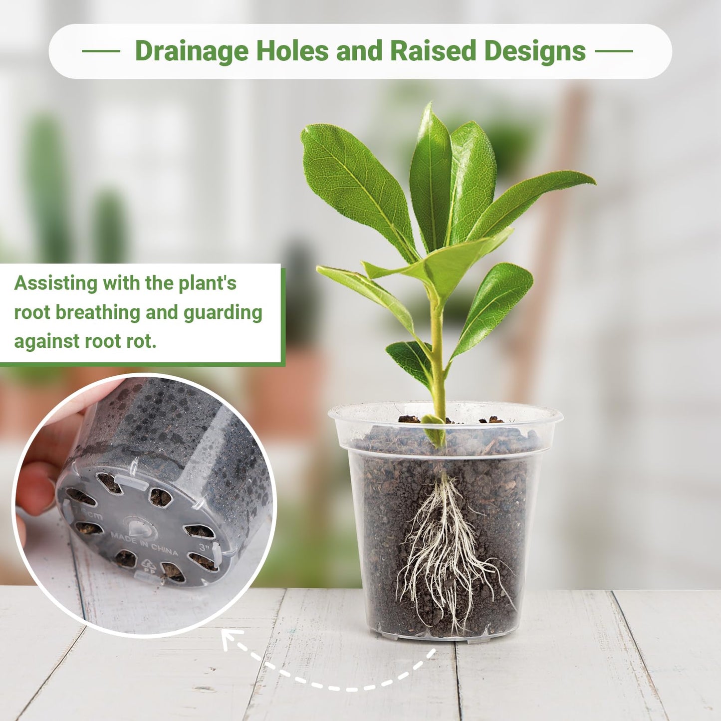 GREANER 60 Packs Clear Plant Nursery Pots, 3 Inch Plastic Pot with Drainage Holes, Reinforced Flower Seed Starter Pot for Indoors Outdoor Plants with 20 Plant Labels - Transparent