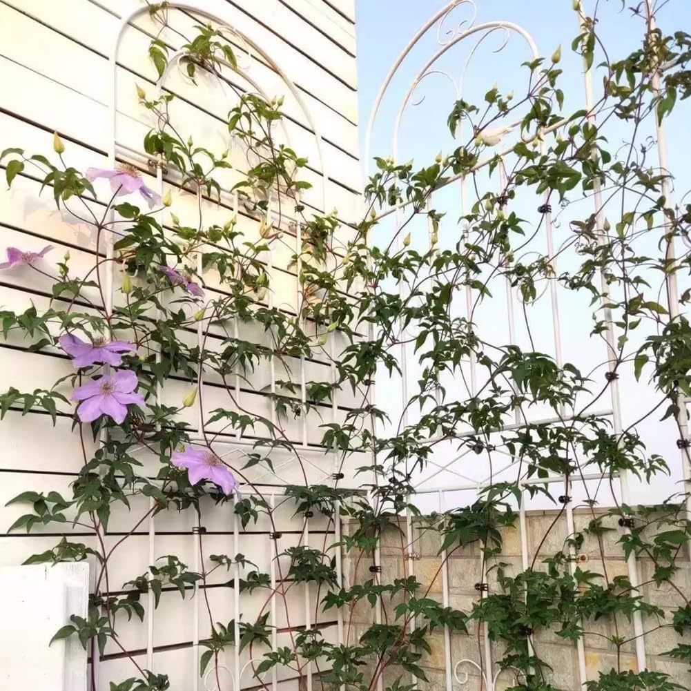 Garden Trellis, Metal Plant Supports, Freestanding Garden Trellis, Plant Climbing Frame, for Decor Flowers Roses Vine Ivy Clematis,Green,150x50 cm