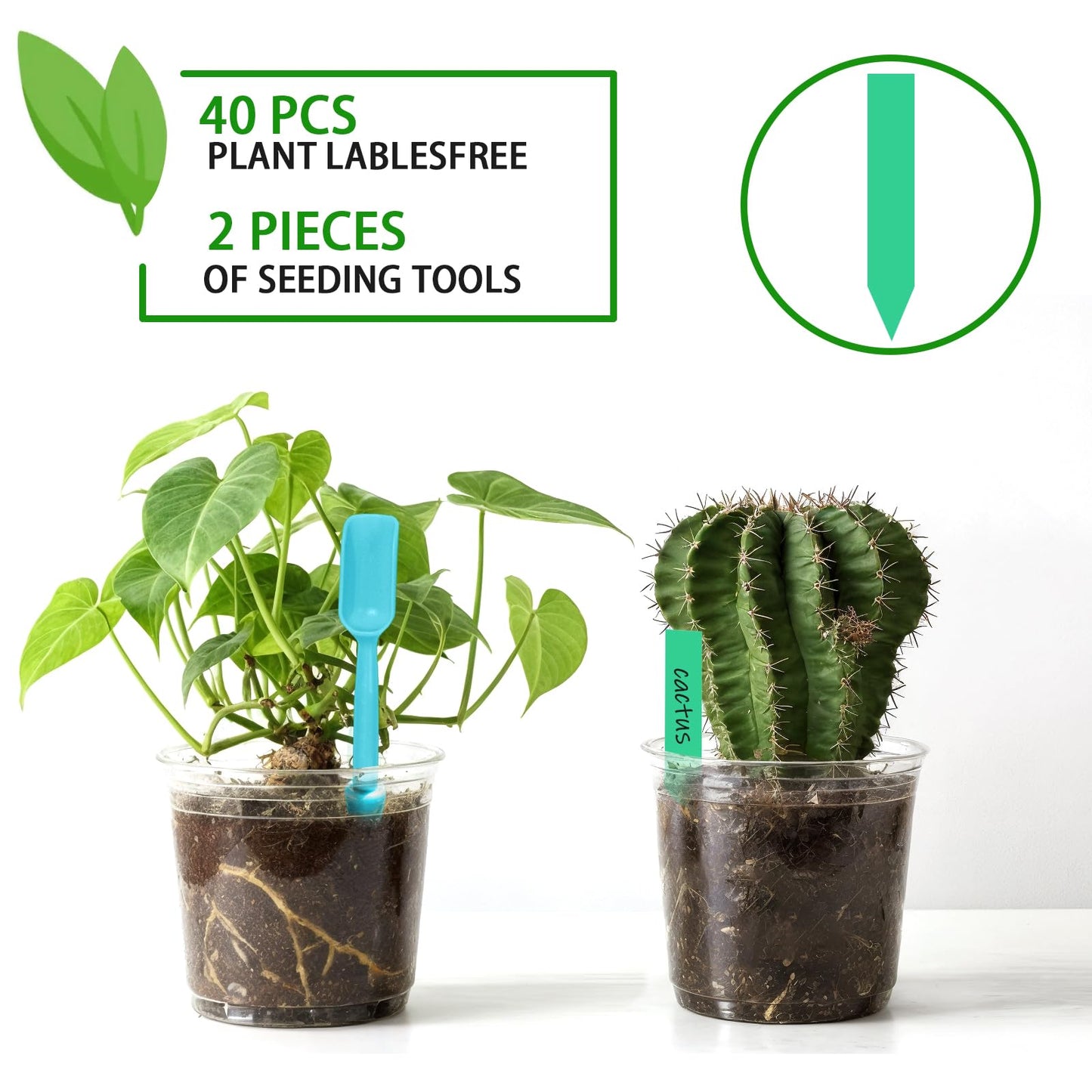 Clear Nursery Pots for Plants, 3.7/5 Inch Plastic Seedling Pots with Drainage Holes – Flexible Transparent Planters for Indoor & Outdoor Gardening, Includes 40 Plant Labels & 2 Transplant Tools