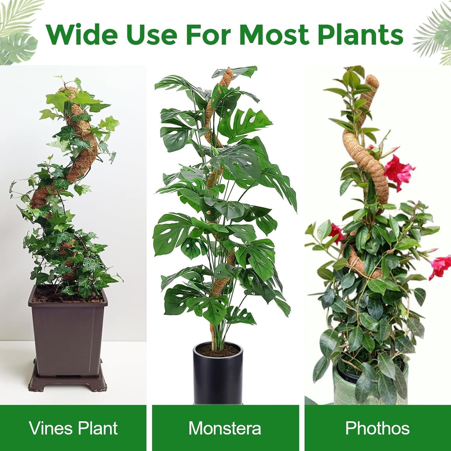 HFLYJPYW 1 Pack 48'' Bendable Moss Pole Monstera Plant Support for Climbing Indoor Plants - Stakes for Potted Climbers (1)