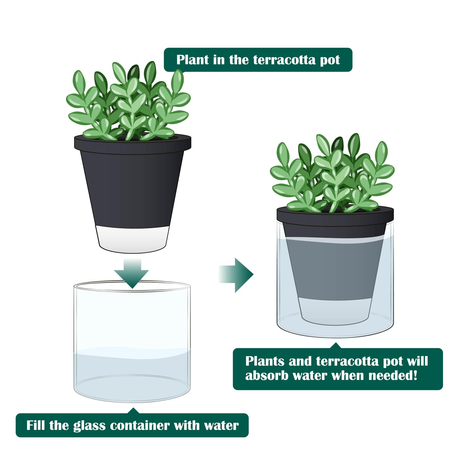 D'vine Dev 4 Inch Design Self Watering Planter for Indoor Plants, Black Terracotta Pot with Cylinder Glass Cup, Set of 4, 37-Z-A-3-F