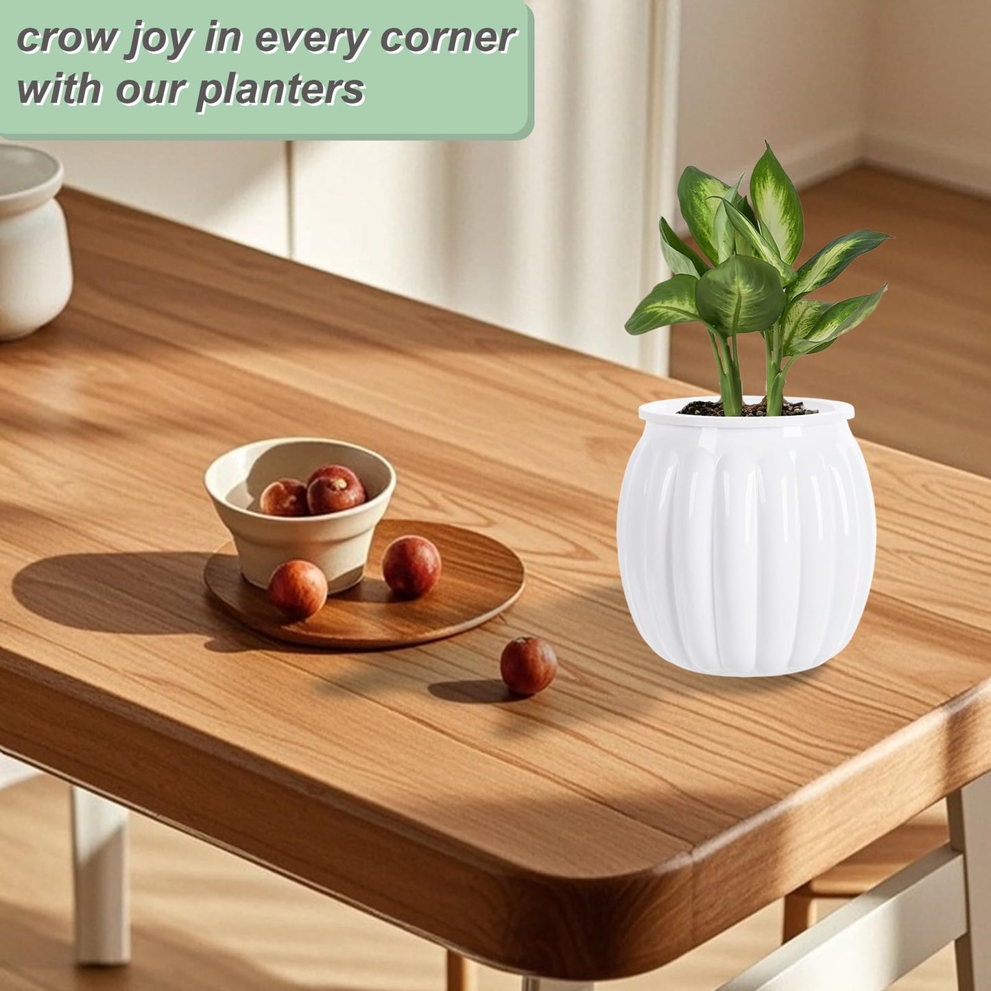 Qhzxcvlk 2 Pack Self Watering Planters Indoor Flower Pots, 5.1 Inch Clear African Violet Pots for Indoor Plants for Flower, Succulents, Plant Pots with Wicking Rope, Modern Decor(White)