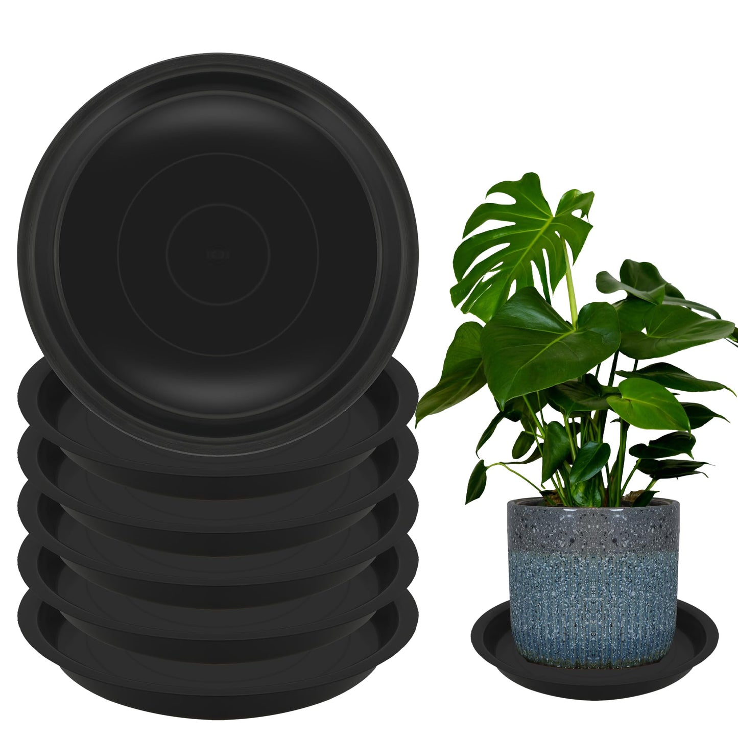 TNTIWQ 6 Pack 8 Inch Round Plant Saucers for Less 6.8 Inch Pot Indoors Outdoors Plant Trays for Pots Planter Saucer Plastic Plant Drip Tray Planter Water Tray for Potted Plants(Black, 8"(6pcs))