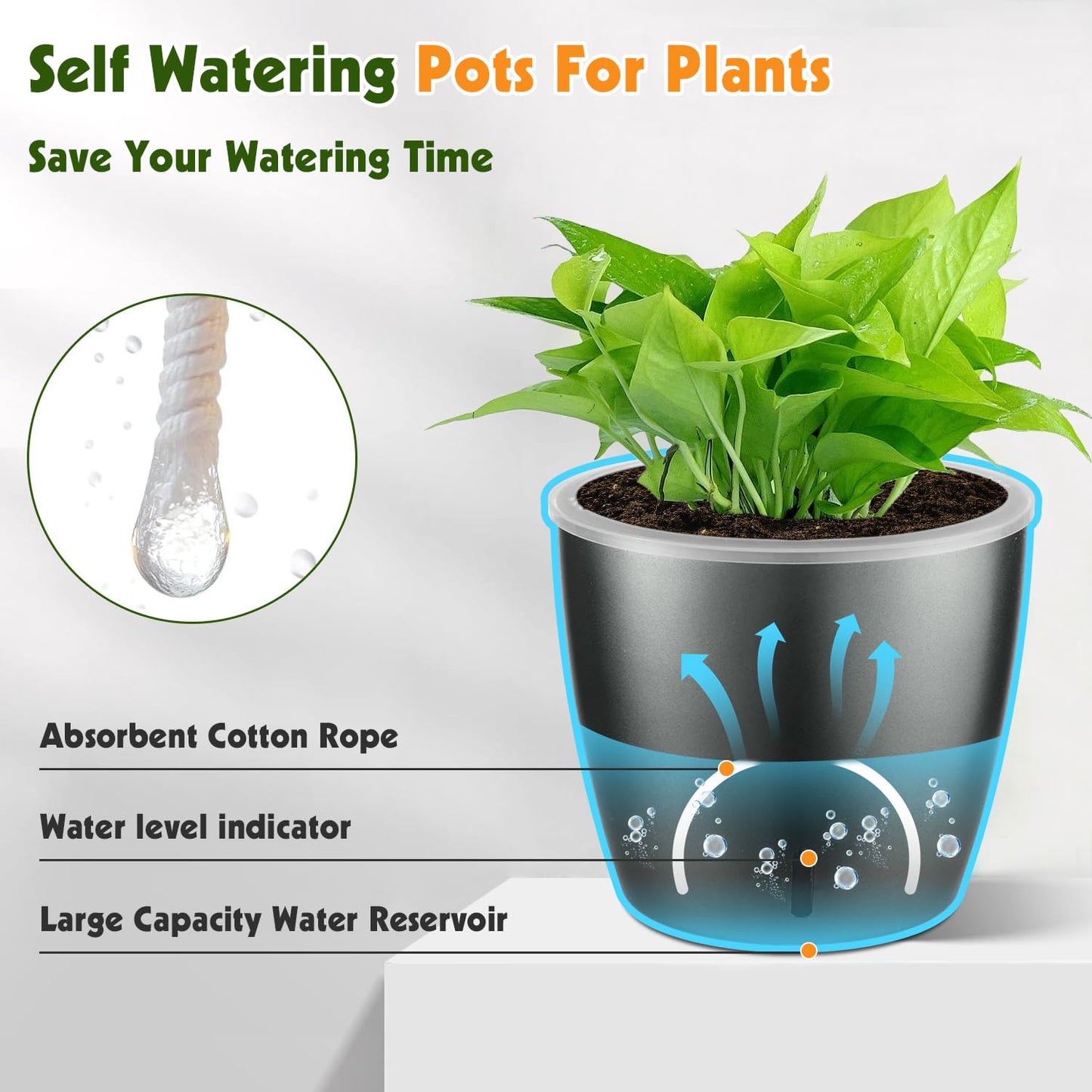 KvyusFlourish Self Watering Pots for Indoor Plants, 6-Pack 5'' Self Watering Planter with Drainage Holes, Small African Violet Pots with Water Indicator, Clear Wick Orchid Pot, Grey Gold