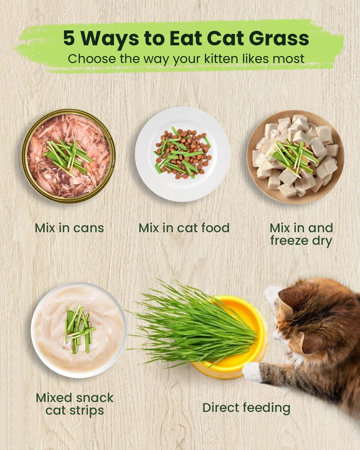 Cat Grass Growing Kit for Indoor Cats – Fast Growing (3-7 Days Harvest), Wheat Seeds, BPA-Free Planter & Soil – Helps Hairball Control, Digestion & Fresh Breath – Green Fresh (3 Pack)