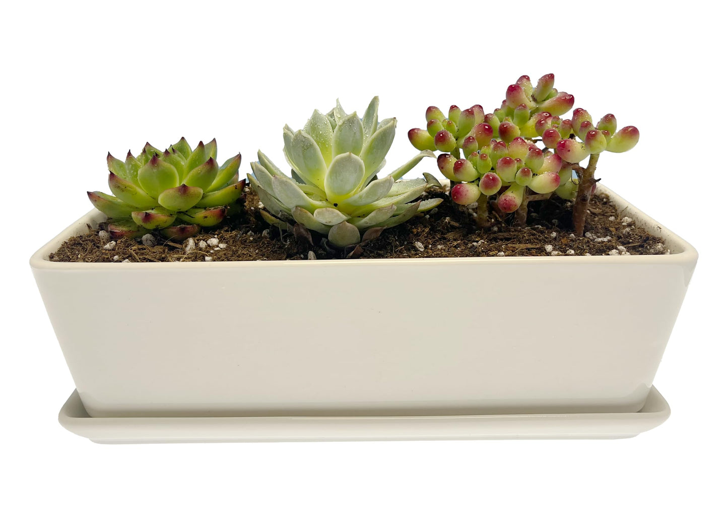 Kipokalor Rectangular White Ceramic Succulent Planter Pot,one Set of 10.19x4.64x3.22inch Modern Minimalist with Ceramic Saucer for Office,Desk,Window.