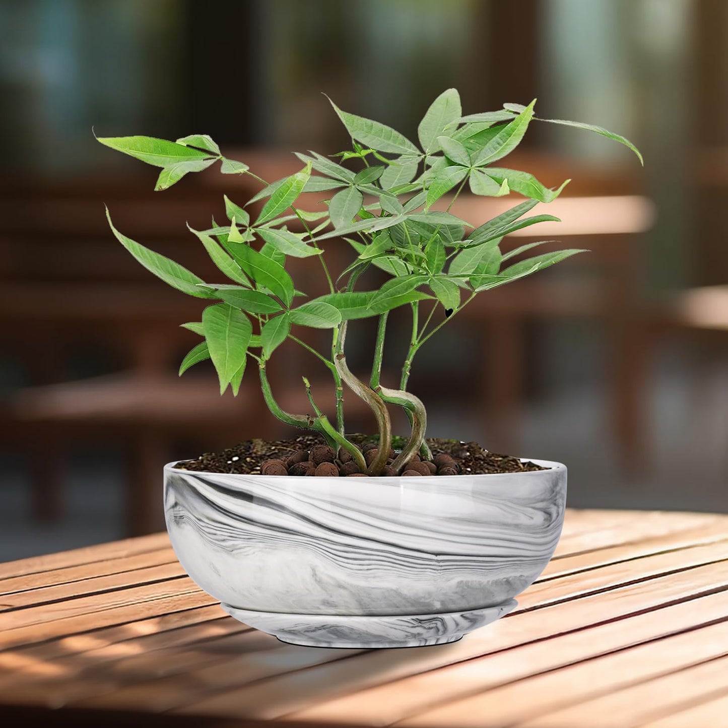 G EPGardening Bonsai Pots, 8 Inch Marble Pattern Ceramic Succulent Pot with Drainage Hole and Plant Saucer, Large Round Planter for Indoor Outdoor Plants, Modern Flower Pot, Plants Lovers Gifts, Grey